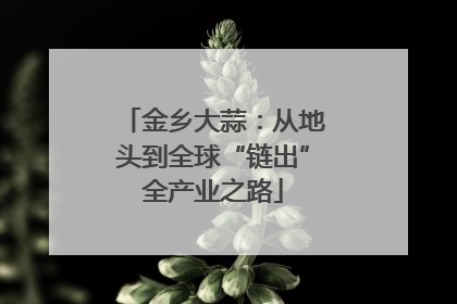 金乡大蒜：从地头到全球“链出”全产业之路