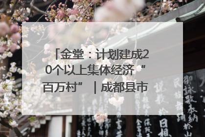 金堂：计划建成20个以上集体经济“百万村”｜成都县市新城高质量发展