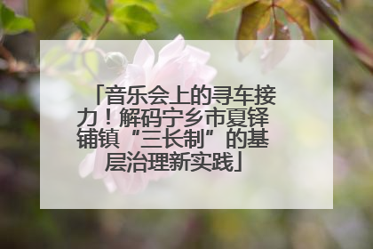 音乐会上的寻车接力！解码宁乡市夏铎铺镇“三长制”的基层治理新实践