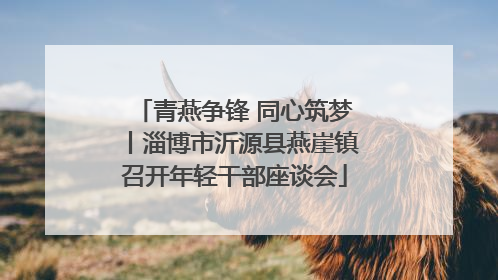 青燕争锋 同心筑梦丨淄博市沂源县燕崖镇召开年轻干部座谈会