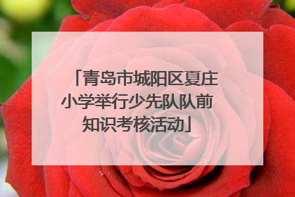 青岛市城阳区夏庄小学举行少先队队前知识考核活动