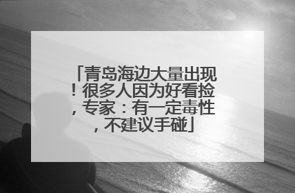 青岛海边大量出现！很多人因为好看捡，专家：有一定毒性，不建议手碰