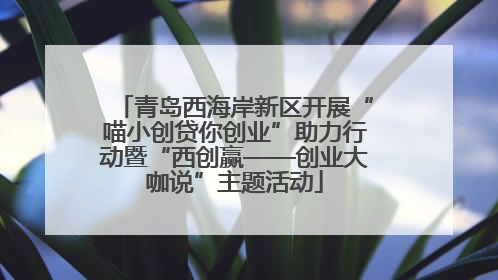 青岛西海岸新区开展“喵小创贷你创业”助力行动暨“西创赢——创业大咖说”主题活动