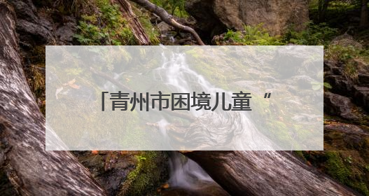 青州市困境儿童“六一”地名文化研学行活动温暖启航