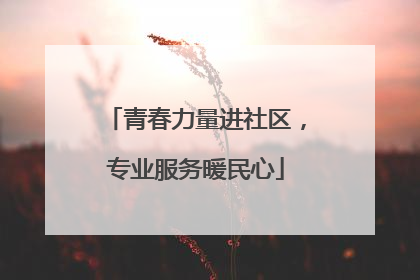 青春力量进社区，专业服务暖民心