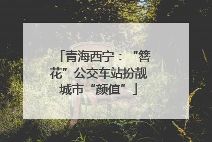 青海西宁：“簪花”公交车站扮靓城市“颜值”