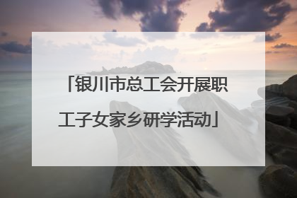 银川市总工会开展职工子女家乡研学活动
