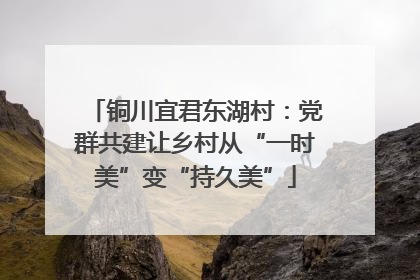 铜川宜君东湖村：党群共建让乡村从“一时美”变“持久美”