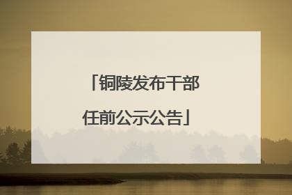 铜陵发布干部任前公示公告