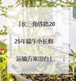 长三角铁路2025年端午小长假运输方案出台