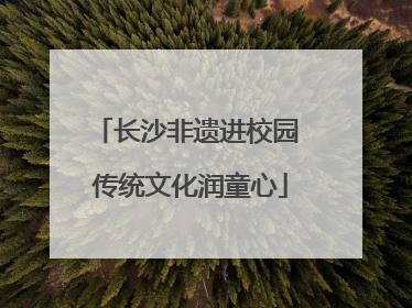 长沙非遗进校园 传统文化润童心