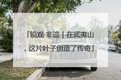 镜观·非遗｜在武夷山，这片叶子创造了传奇