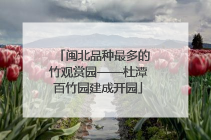闽北品种最多的竹观赏园——杜潭百竹园建成开园
