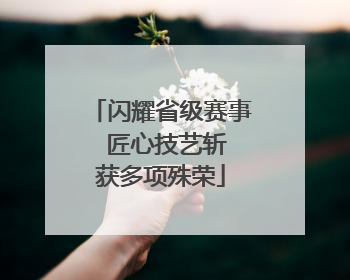 闪耀省级赛事  匠心技艺斩获多项殊荣