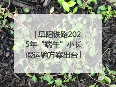 阜阳铁路2025年“端午”小长假运输方案出台