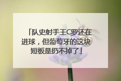 队史射手王C罗还在进球，但葡萄牙的这块短板是扔不掉了