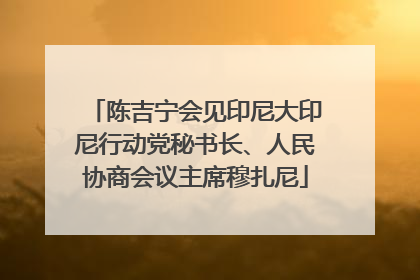 陈吉宁会见印尼大印尼行动党秘书长、人民协商会议主席穆扎尼