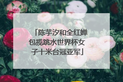 陈芋汐和全红婵包揽跳水世界杯女子十米台冠亚军