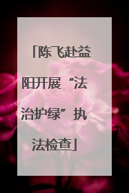 陈飞赴益阳开展“法治护绿”执法检查
