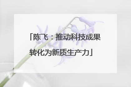 陈飞：推动科技成果转化为新质生产力
