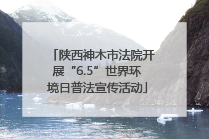 陕西神木市法院开展“6.5”世界环境日普法宣传活动