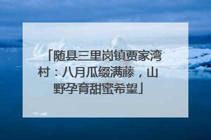随县三里岗镇贾家湾村：八月瓜缀满藤，山野孕育甜蜜希望