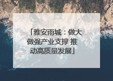 雅安雨城：做大做强产业支撑 推动高质量发展