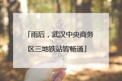 雨后，武汉中央商务区三地铁站皆畅通