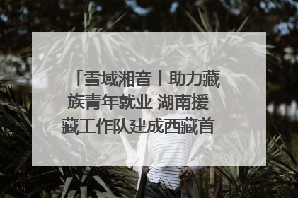雪域湘音丨助力藏族青年就业 湖南援藏工作队建成西藏首个清洁能源装备园