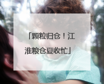 颗粒归仓！江淮粮仓夏收忙