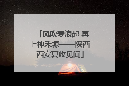 风吹麦浪起 再上神禾塬——陕西西安夏收见闻