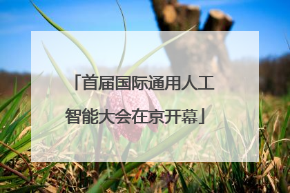 首届国际通用人工智能大会在京开幕