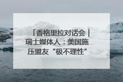 香格里拉对话会｜瑞士媒体人：美国施压盟友“极不理性” 欧洲国家无意与中国“脱钩断链”