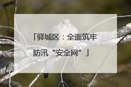 驿城区：全面筑牢防汛“安全网”