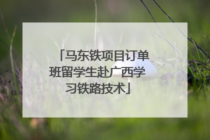 马东铁项目订单班留学生赴广西学习铁路技术