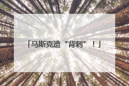 马斯克遭“背刺”！