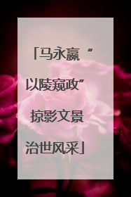 马永嬴“以陵窥政” 掠影文景治世风采