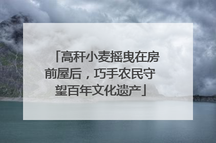 高秆小麦摇曳在房前屋后，巧手农民守望百年文化遗产