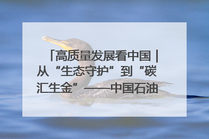高质量发展看中国｜从“生态守护”到“碳汇生金”——中国石油大庆油田绿色蝶变