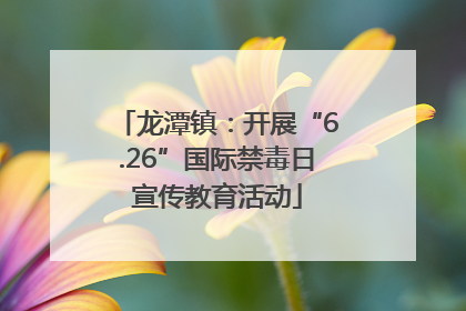 龙潭镇：开展“6.26”国际禁毒日宣传教育活动