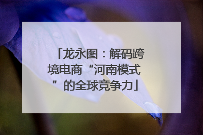 龙永图：解码跨境电商“河南模式”的全球竞争力