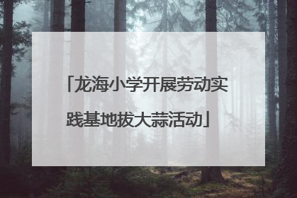 龙海小学开展劳动实践基地拔大蒜活动