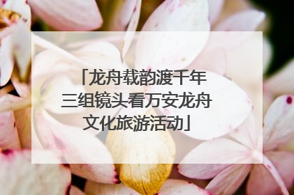 龙舟载韵渡千年 三组镜头看万安龙舟文化旅游活动