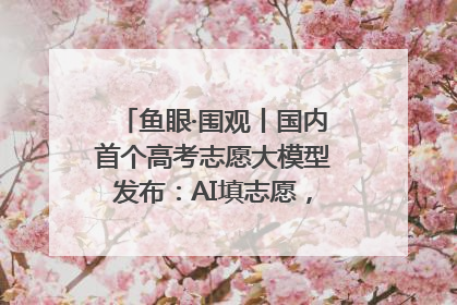 鱼眼·围观丨国内首个高考志愿大模型发布：AI填志愿，靠不靠谱？
