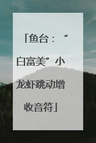 鱼台：“白富美”小龙虾跳动增收音符