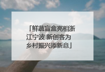 鲜蔬盲盒亮相浙江宁波 新创客为乡村振兴添新意