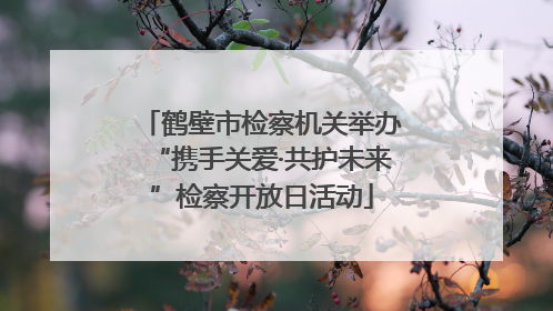 鹤壁市检察机关举办“携手关爱·共护未来”检察开放日活动