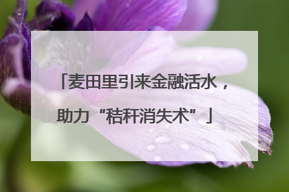 麦田里引来金融活水，助力“秸秆消失术”