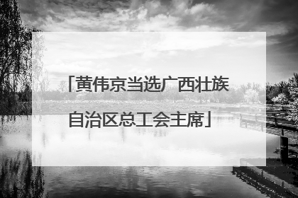 黄伟京当选广西壮族自治区总工会主席