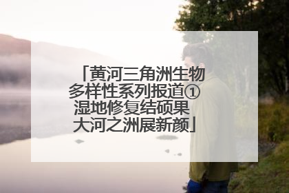 黄河三角洲生物多样性系列报道①湿地修复结硕果 大河之洲展新颜